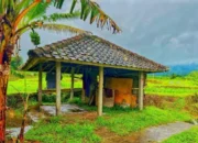 Bado: Bangunan Kecil yang Memperindah Jatiluwih Tabanan